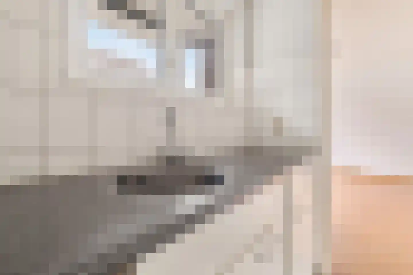 Fatimaplein 19 Maastricht thumbnail 8