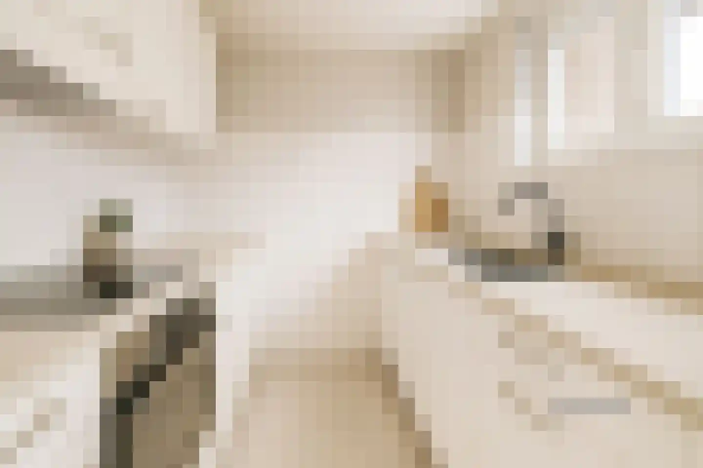 Fatimaplein 19 Maastricht thumbnail 9