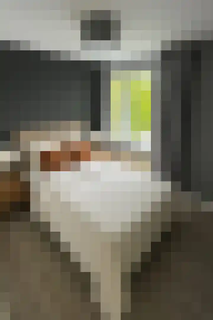 Fatimaplein 39 Maastricht thumbnail 11