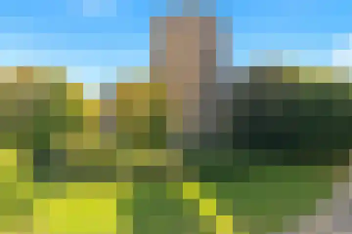 Fatimaplein 39 Maastricht thumbnail 18