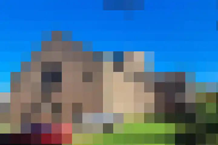 Fatimaplein 39 Maastricht thumbnail 21