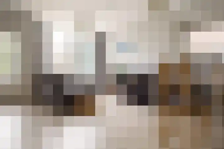 Fatimaplein 39 Maastricht thumbnail 6