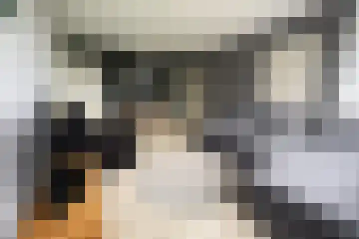 Fatimaplein 39 Maastricht thumbnail 7