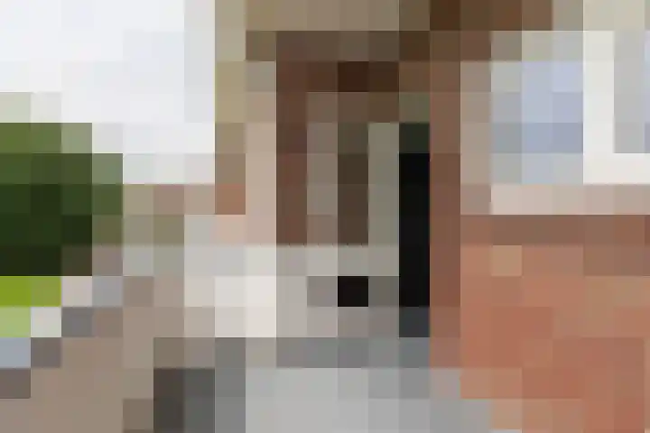 Fatimaplein 47 Maastricht thumbnail 12
