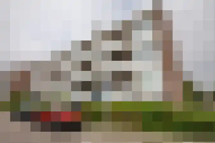 Fatimaplein 47 Maastricht thumbnail 21