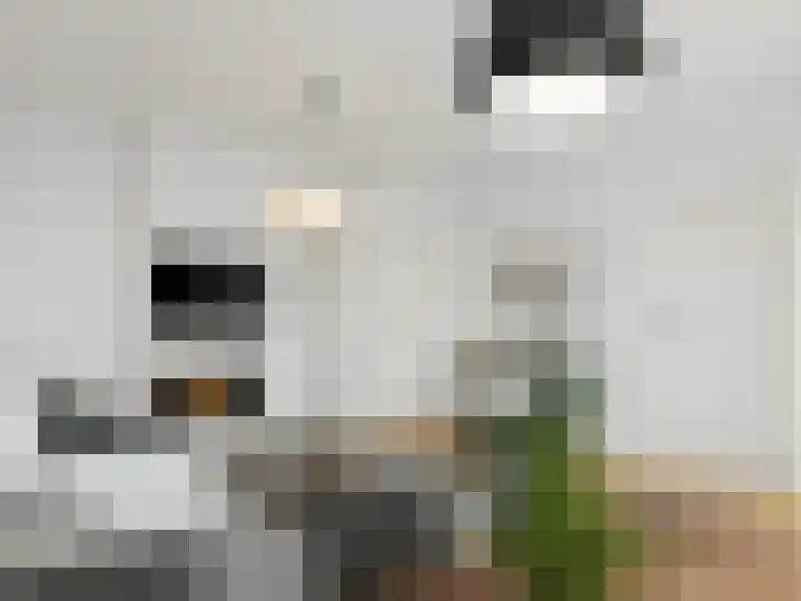 Fatimaplein 47 Maastricht thumbnail 8