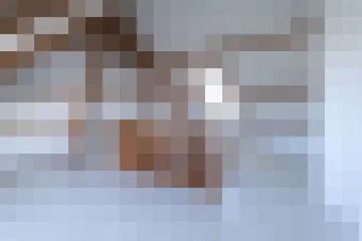Fatimastraat 34 Breda thumbnail 36