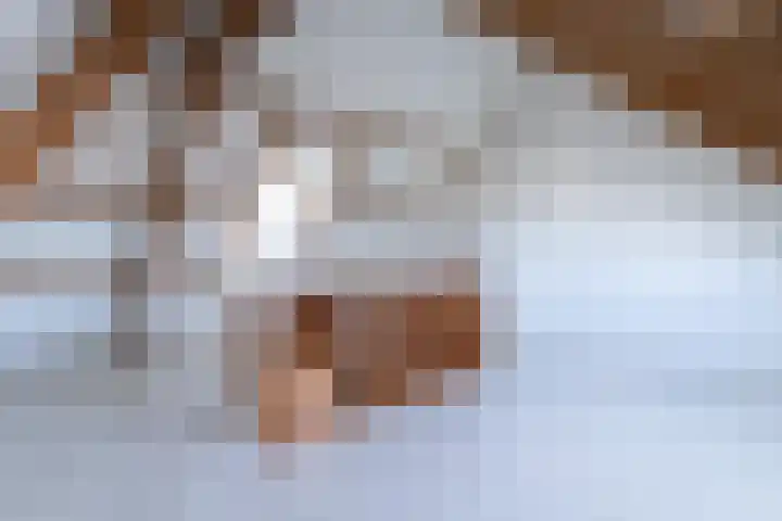 Fatimastraat 34 Breda thumbnail 38