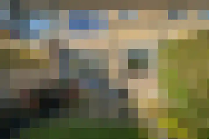 Fatimastraat 49 Breda thumbnail 35