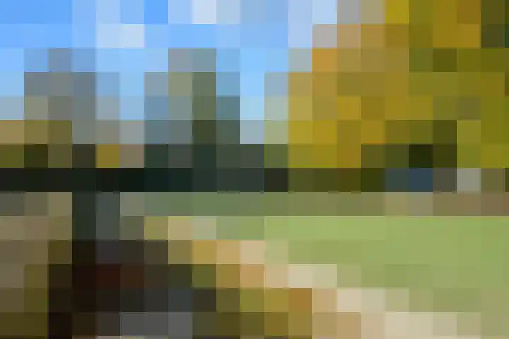 Fatimastraat 49 Breda thumbnail 58