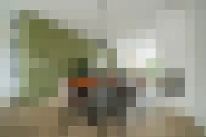 Fatimastraat 51 Breda thumbnail 14