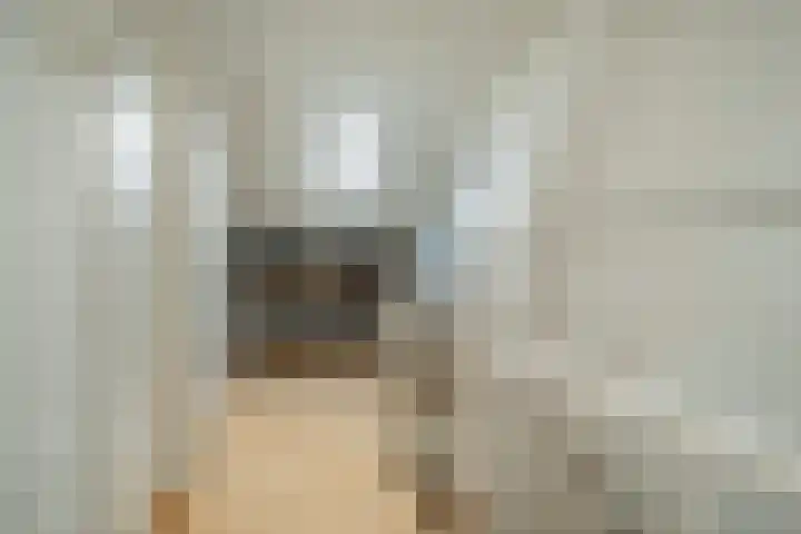 Fatimastraat 51 Breda thumbnail 44