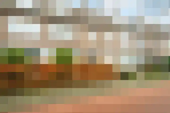 Fatimastraat 51 Breda thumbnail 49