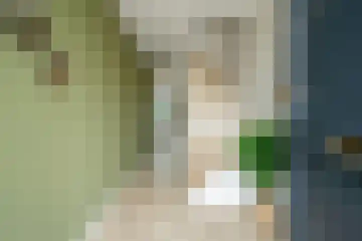 Fatimastraat 51 Breda thumbnail 8