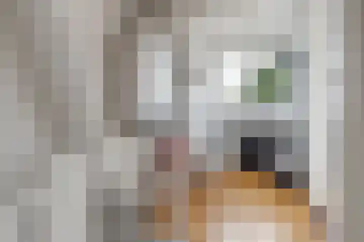 Fatimastraat 61 Breda thumbnail 33