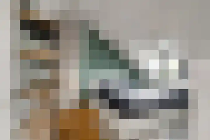 Fatimastraat 61 Breda thumbnail 36