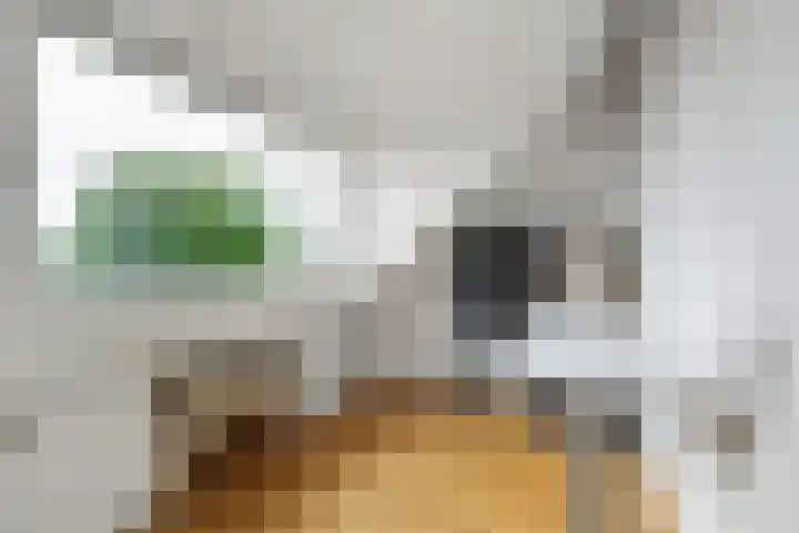 Fatimastraat 61 Breda thumbnail 38