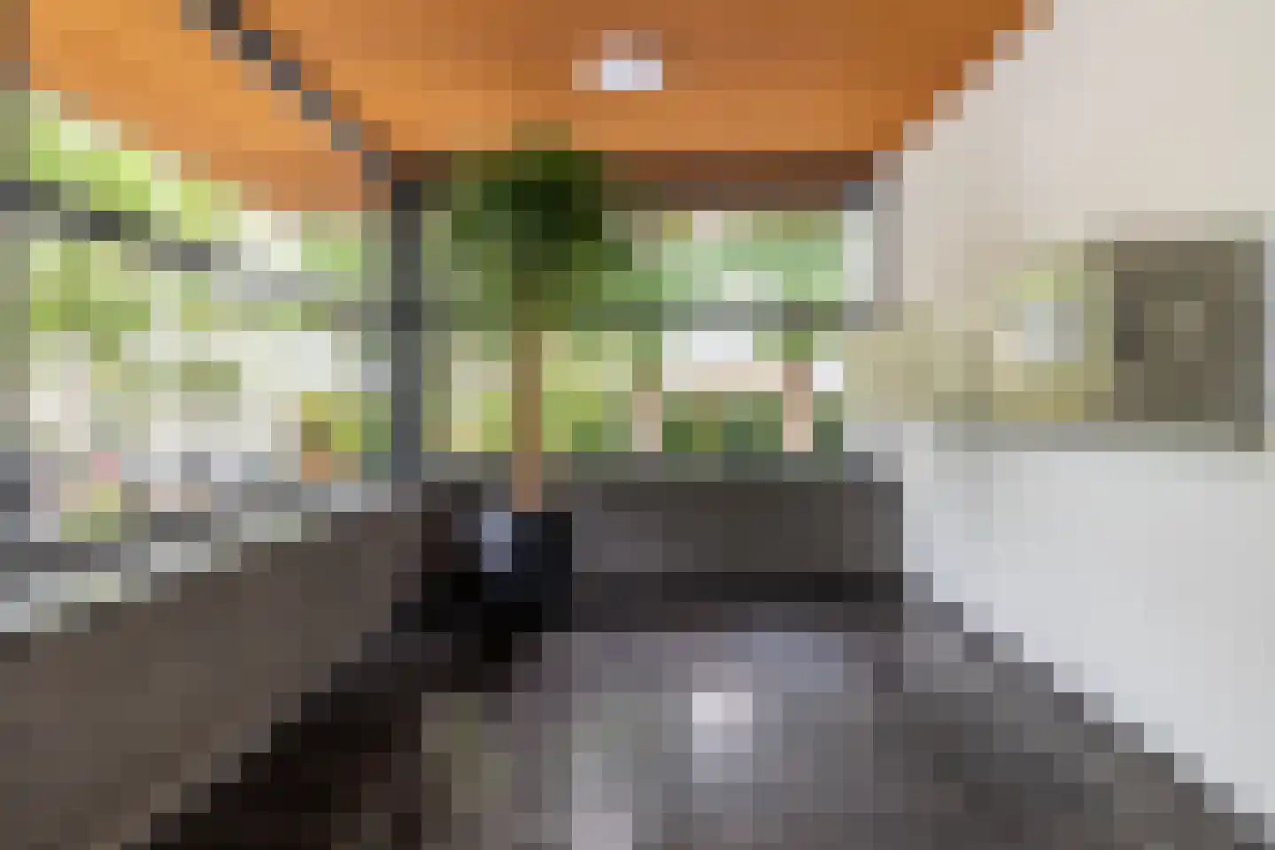 Fatimastraat 73 Breda thumbnail 25