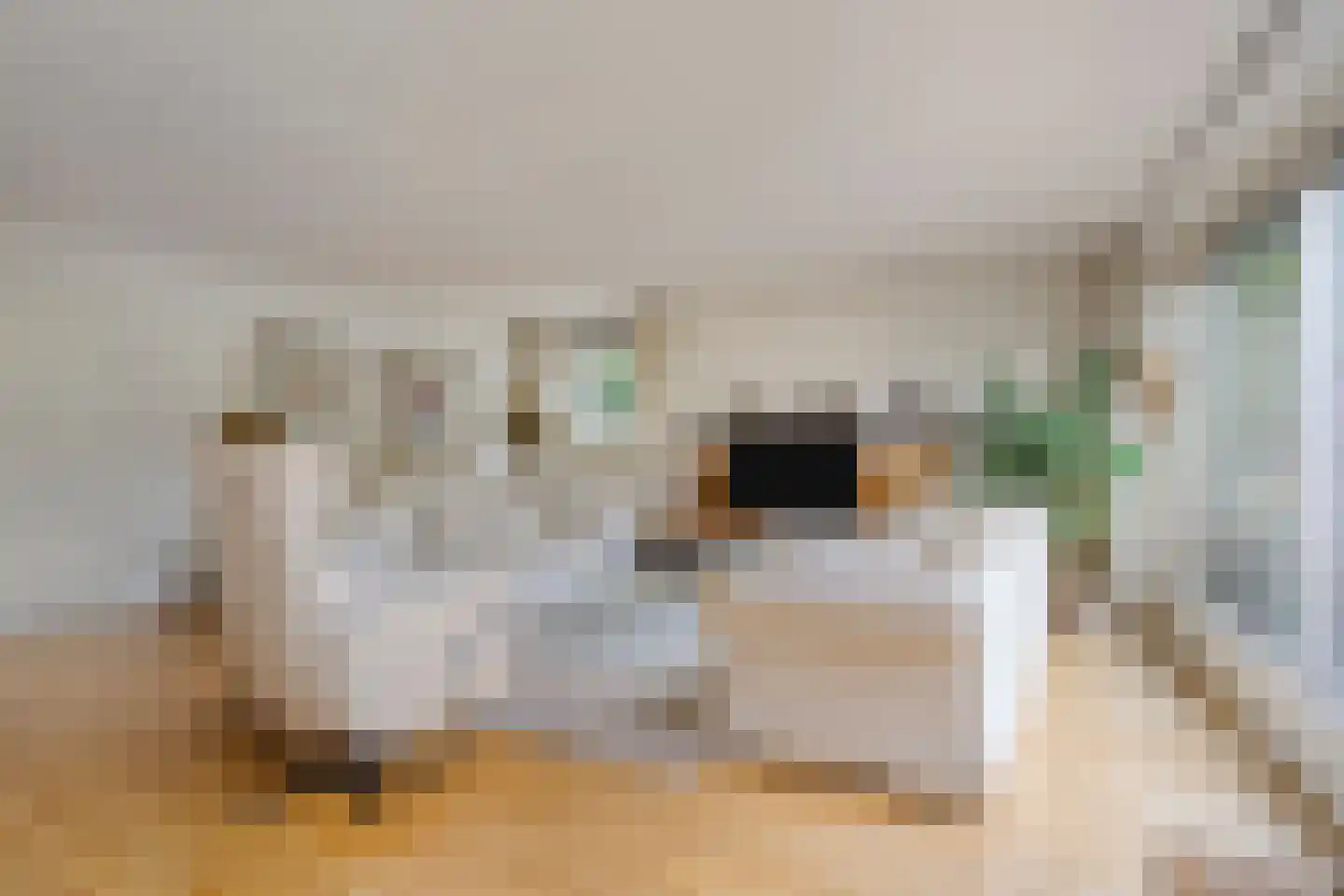 Fatimastraat 87 Breda thumbnail 11