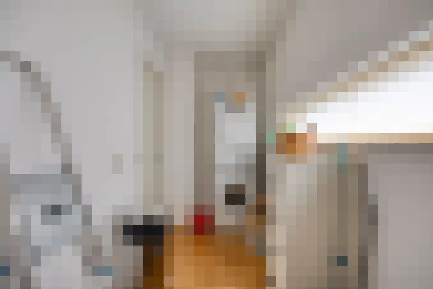Fatimastraat 87 Breda thumbnail 15