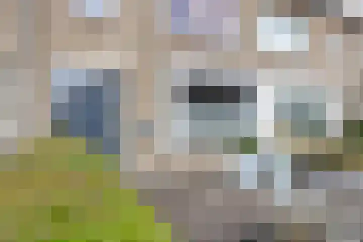 Fatimastraat 94 Breda thumbnail 11