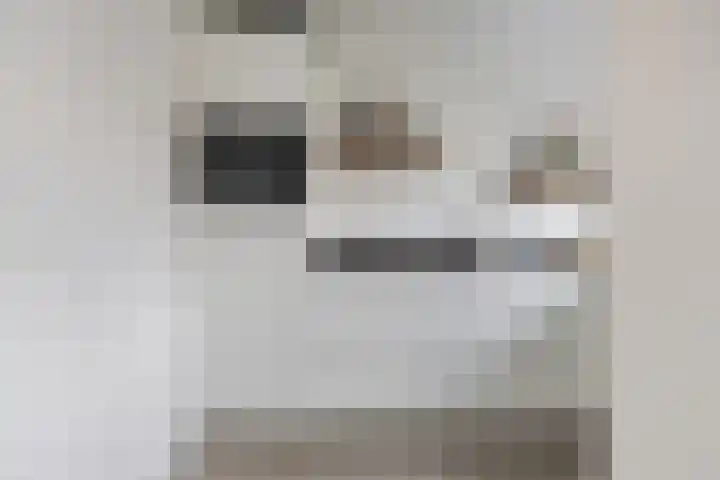 Fatimastraat 94 Breda thumbnail 32