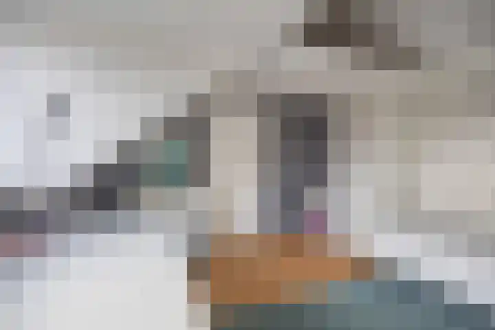 Fatimastraat 94 Breda thumbnail 64