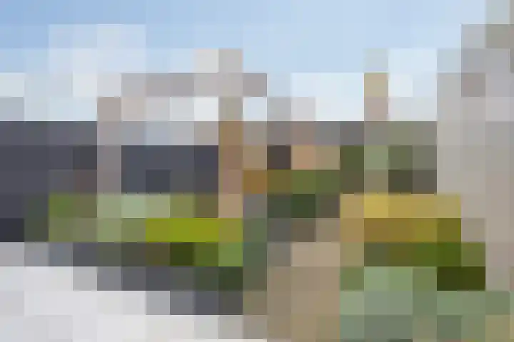 Fatimastraat 94 Breda thumbnail 68