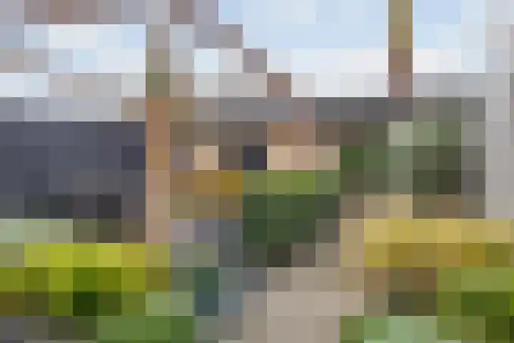 Fatimastraat 94 Breda thumbnail 69