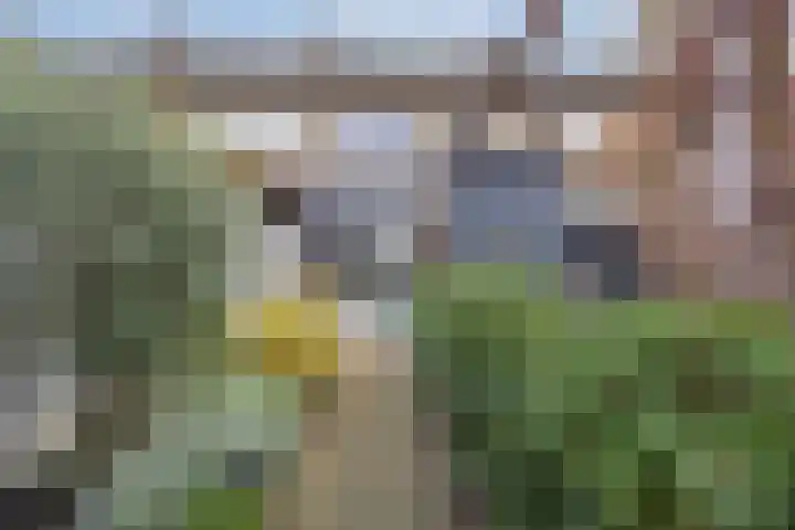 Fatimastraat 94 Breda thumbnail 74