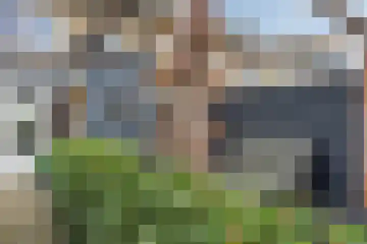 Fatimastraat 94 Breda thumbnail 75