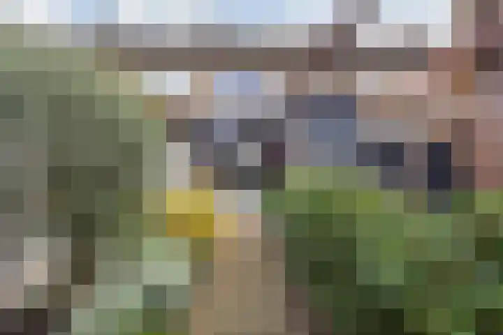 Fatimastraat 94 Breda thumbnail 78