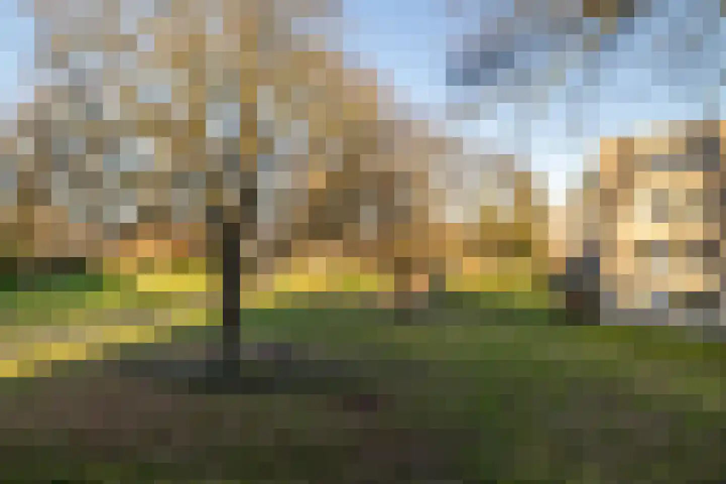 Fatimastraat 99 Breda thumbnail 32