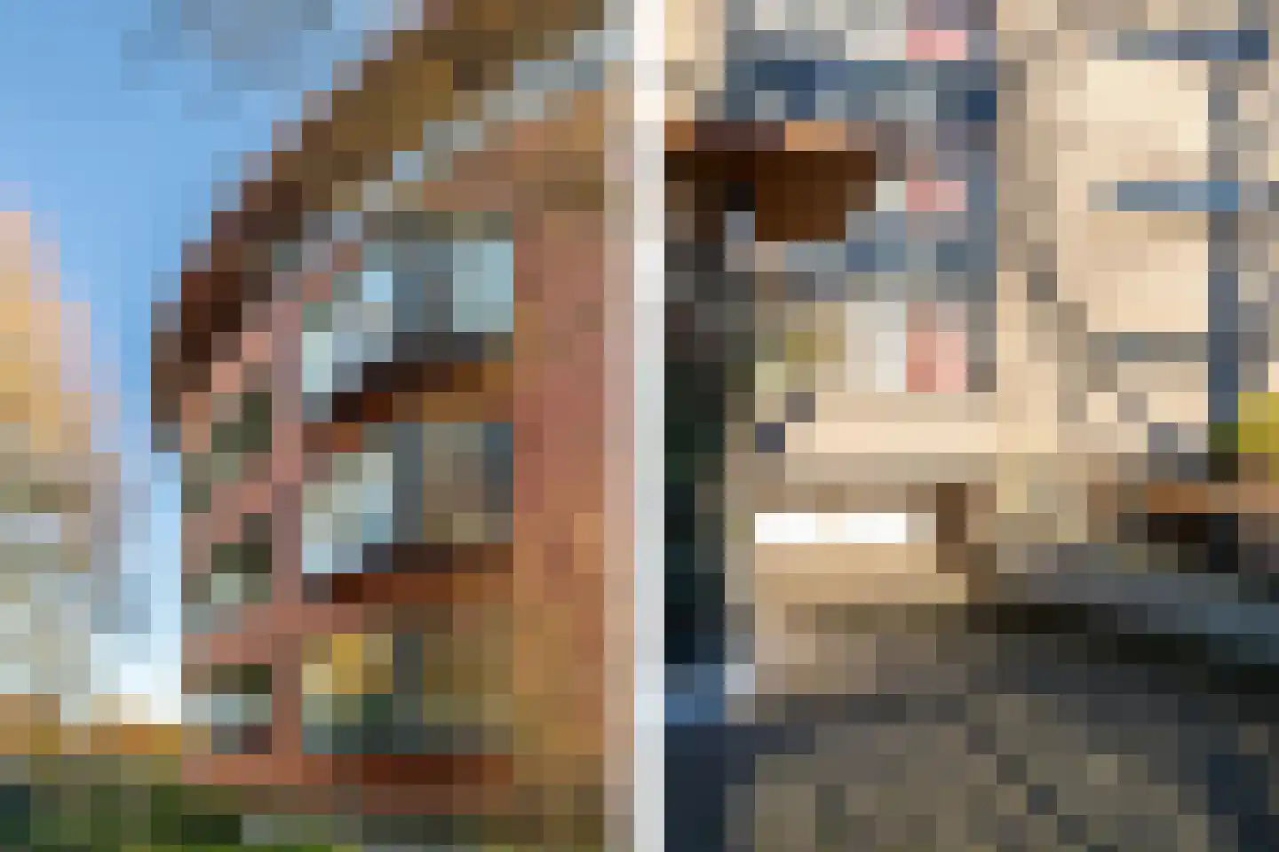 Fatimastraat 99 Breda thumbnail 35