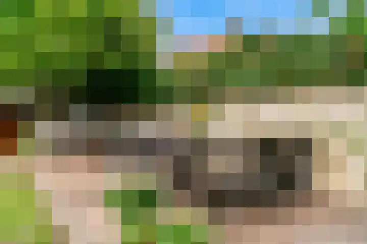 Fattenbergstraat 17 Beek thumbnail 33