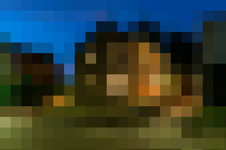 Fattenbergstraat 17 Beek thumbnail 40