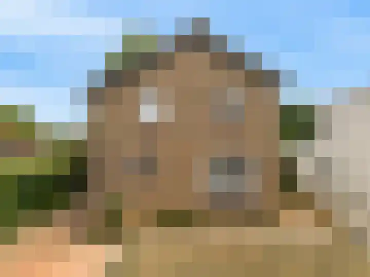 Fattenbergstraat 17 Beek thumbnail 8