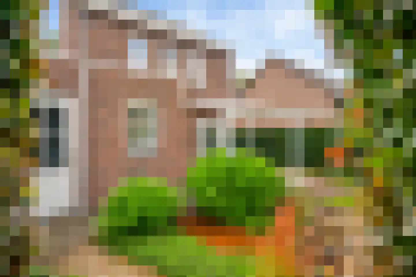 Fattenbergstraat 33 Beek thumbnail 21