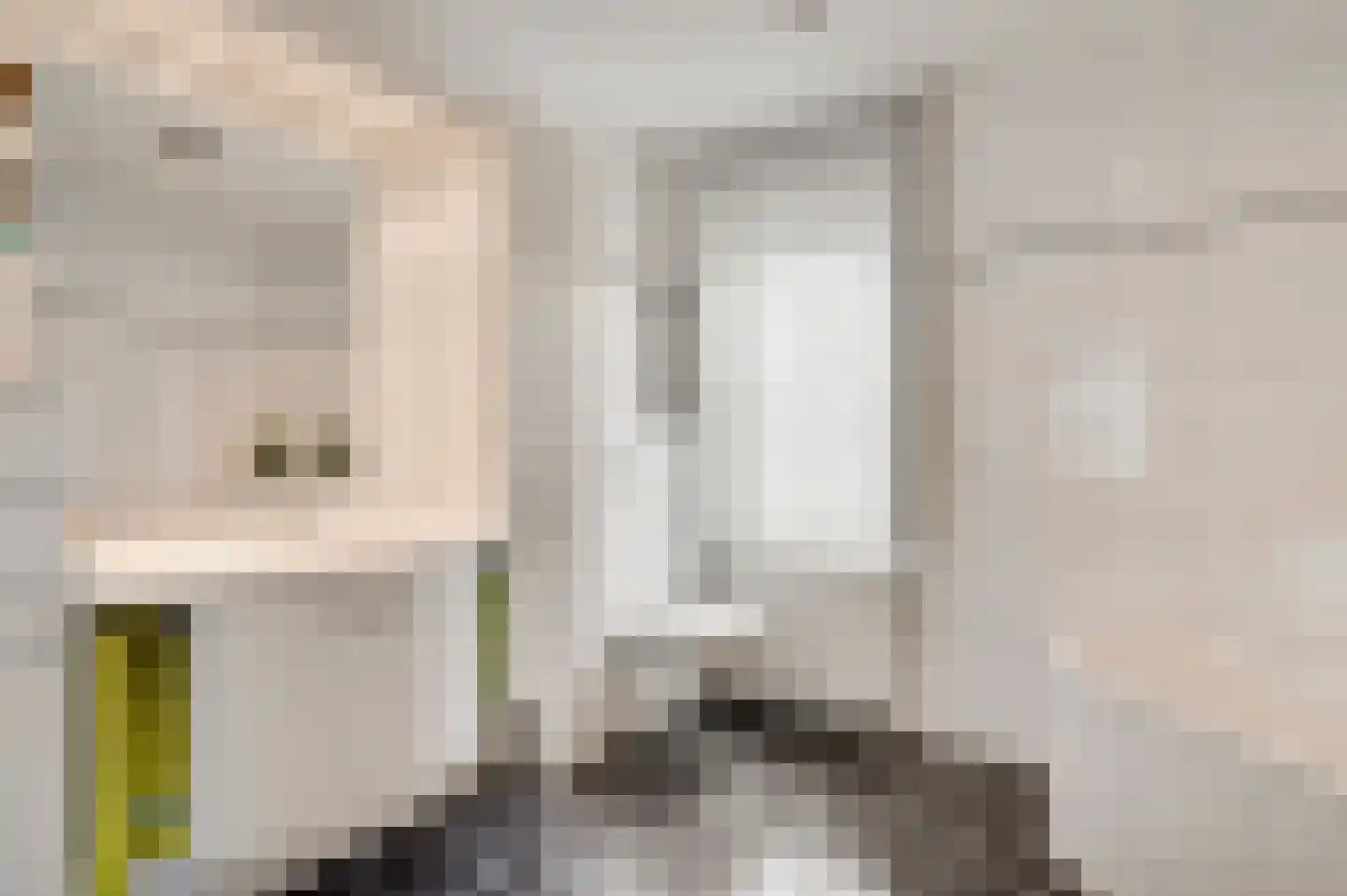 Fattenbergstraat 33 Beek thumbnail 30