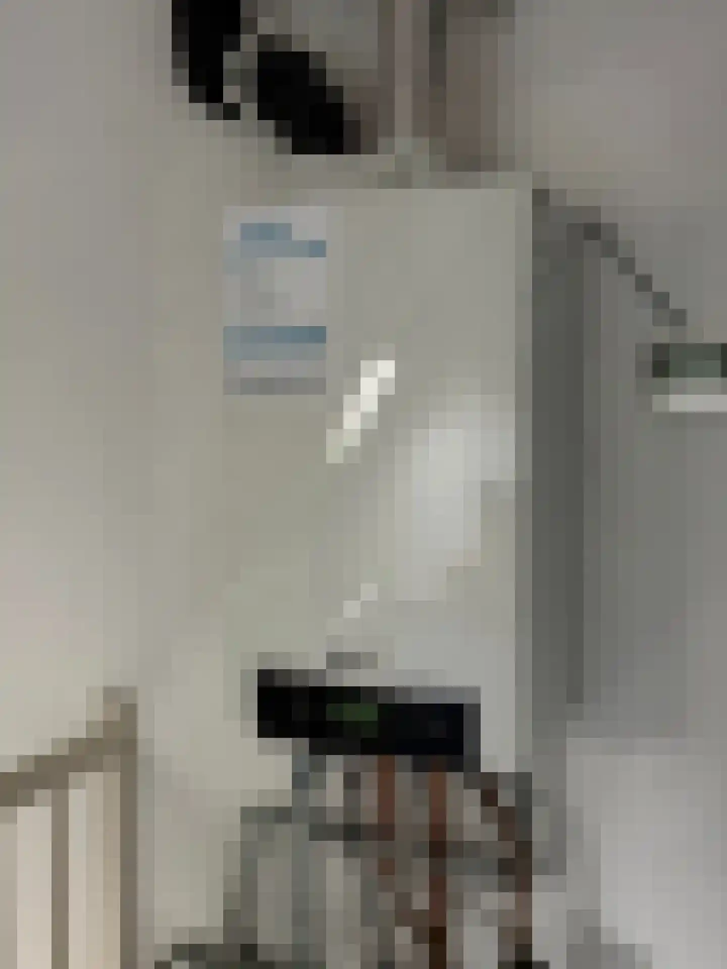 Fattenbergstraat 33 Beek thumbnail 34