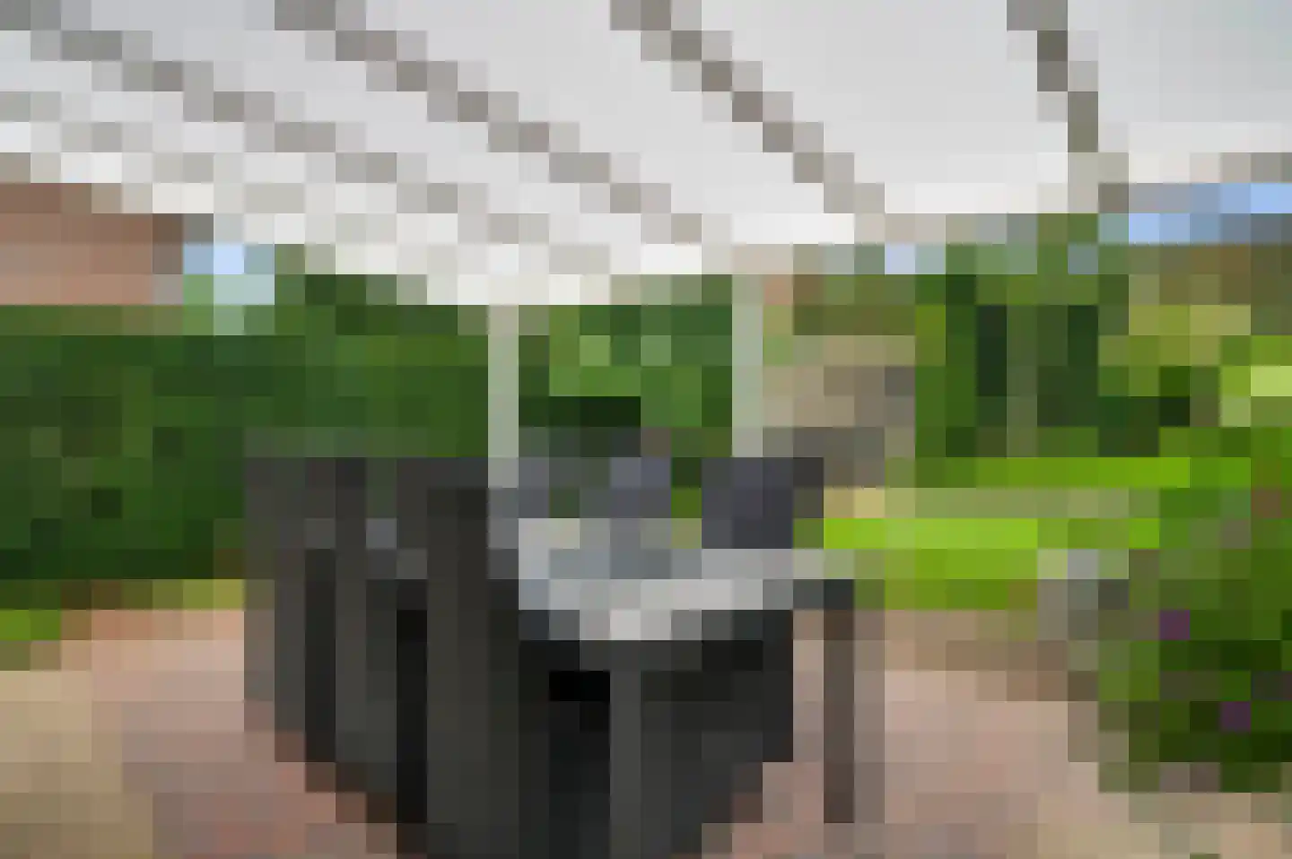 Fattenbergstraat 33 Beek thumbnail 4