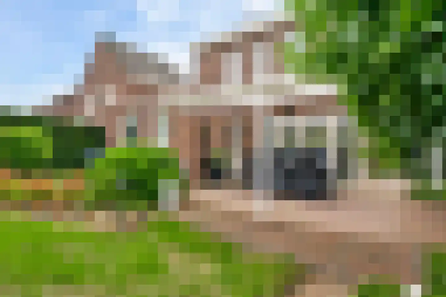 Fattenbergstraat 33 Beek thumbnail 5