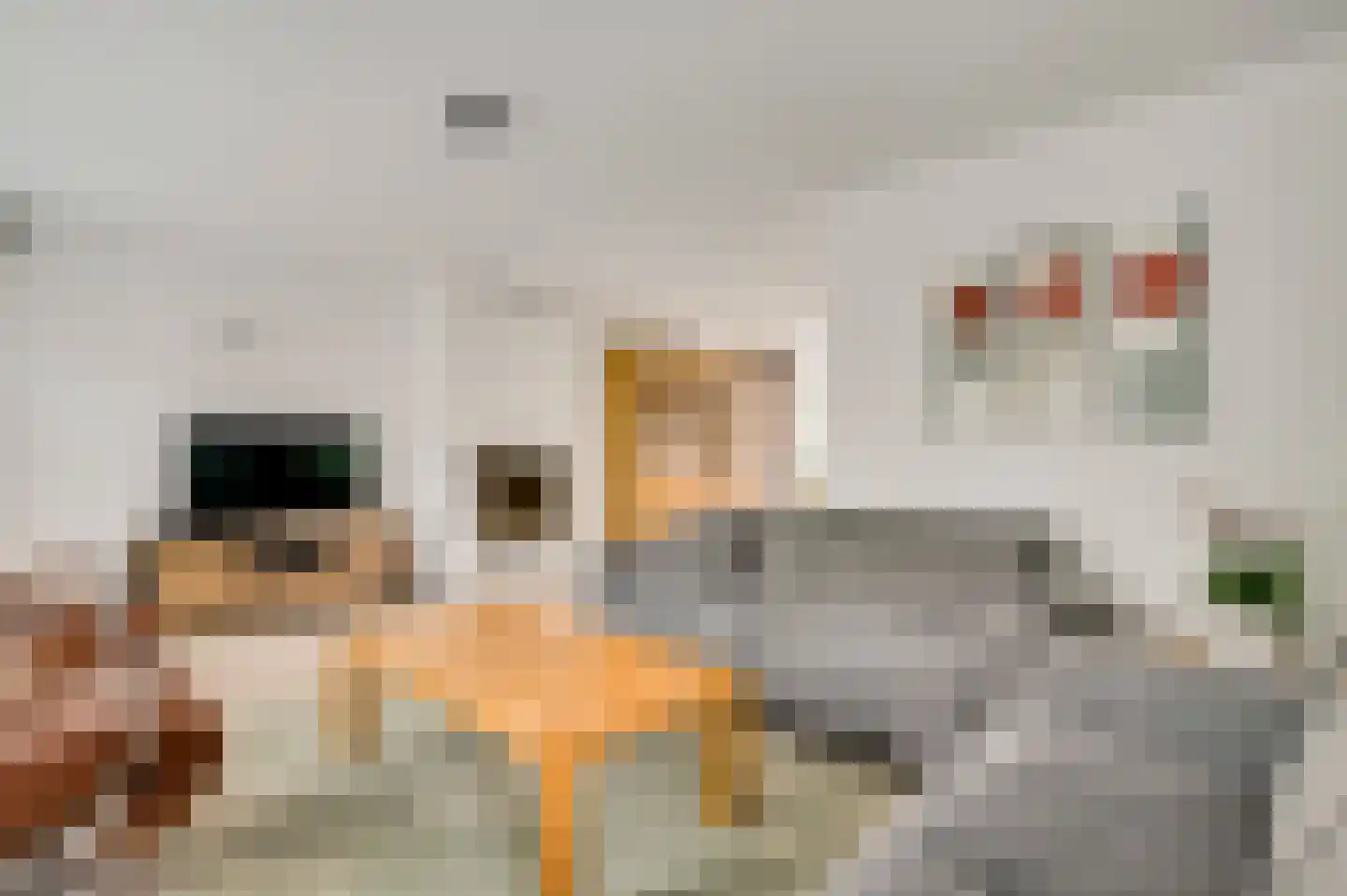 Fattenbergstraat 33 Beek thumbnail 8