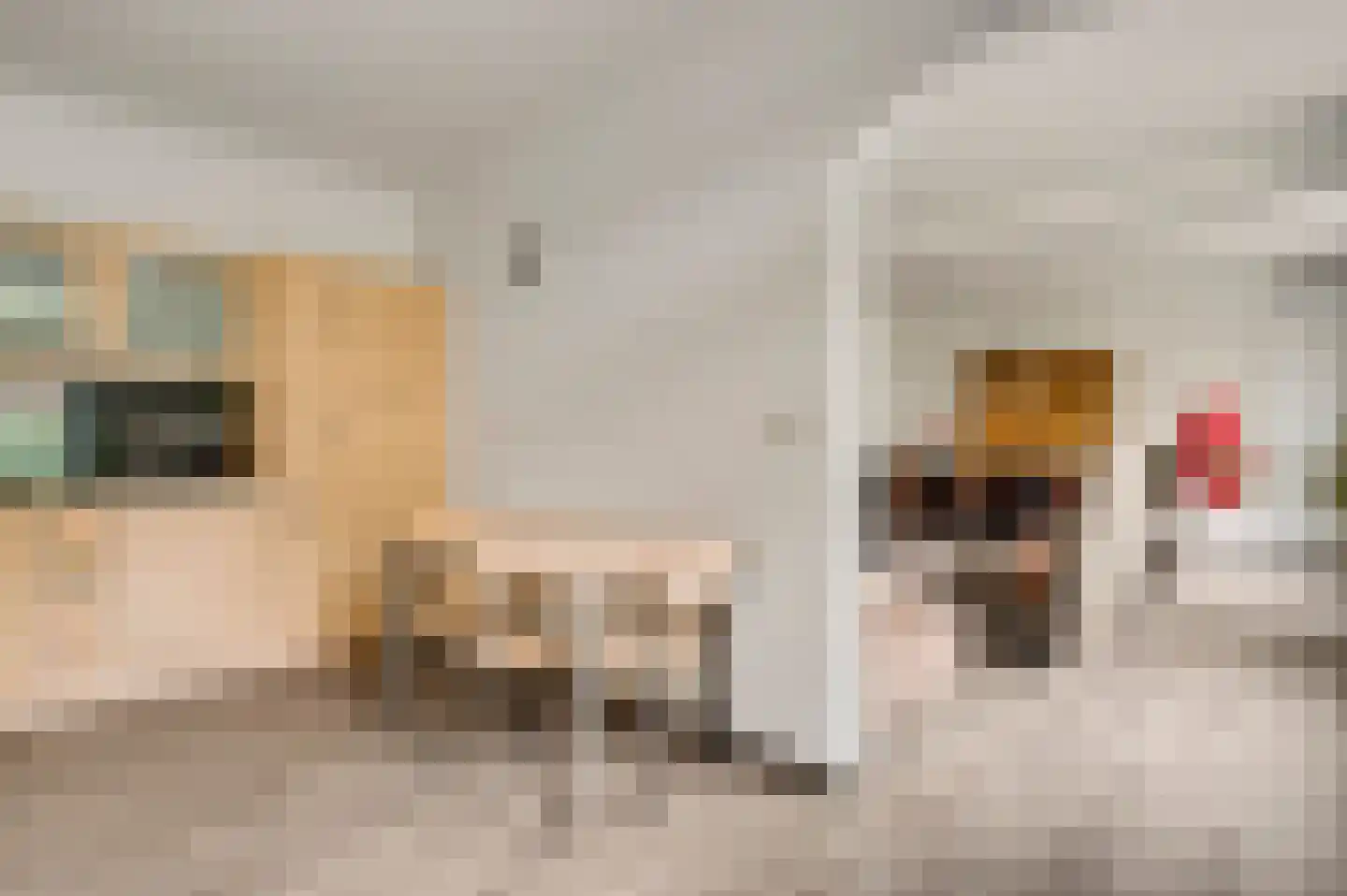 Fattenbergstraat 7 Beek thumbnail 12