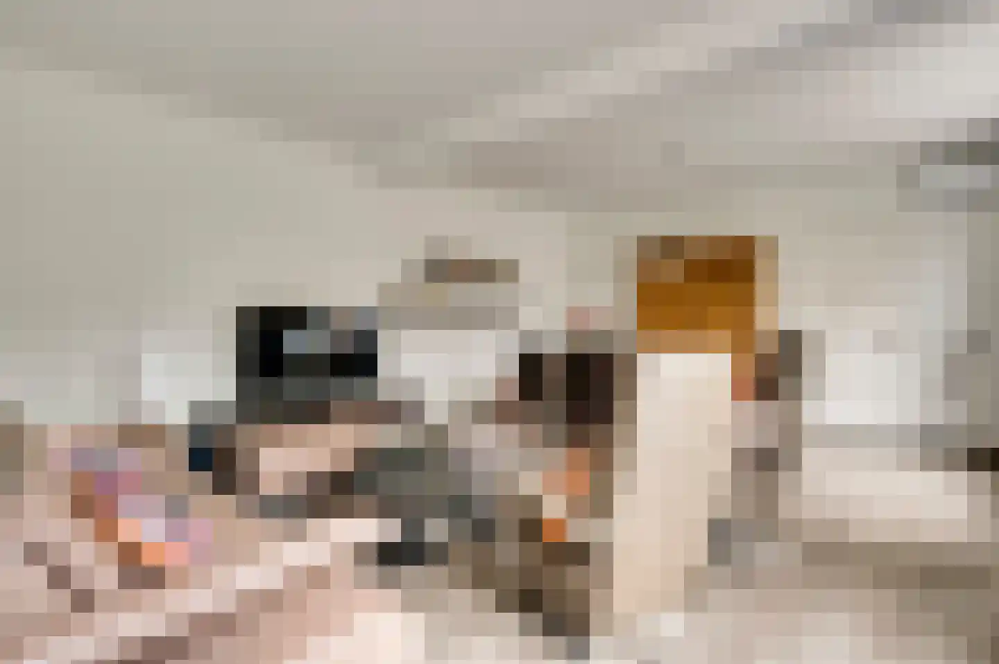 Fattenbergstraat 7 Beek thumbnail 13