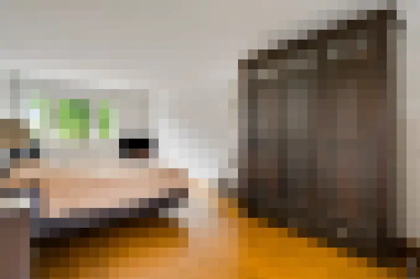 Fattenbergstraat 7 Beek thumbnail 34