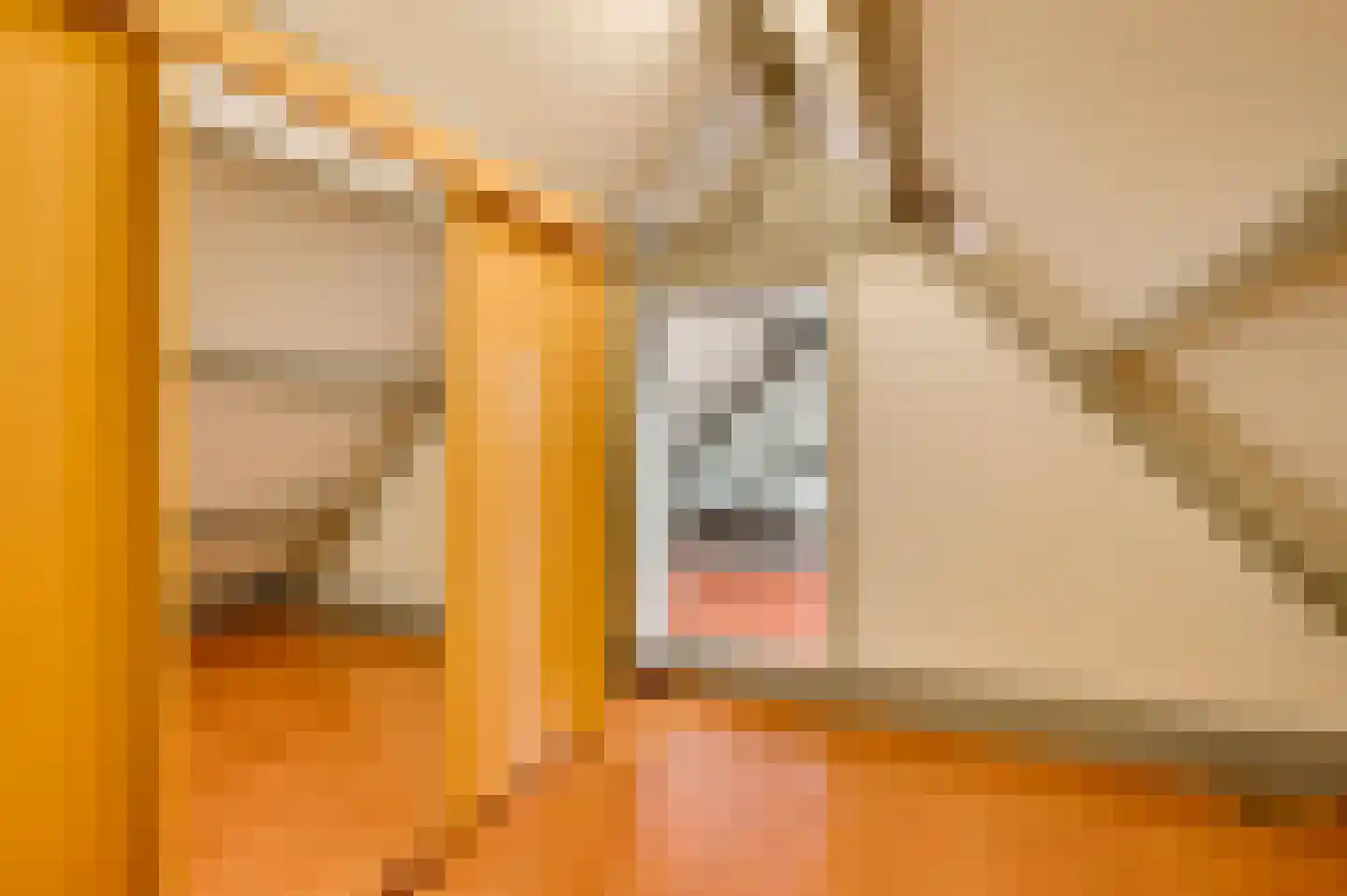 Fattenbergstraat 7 Beek thumbnail 38