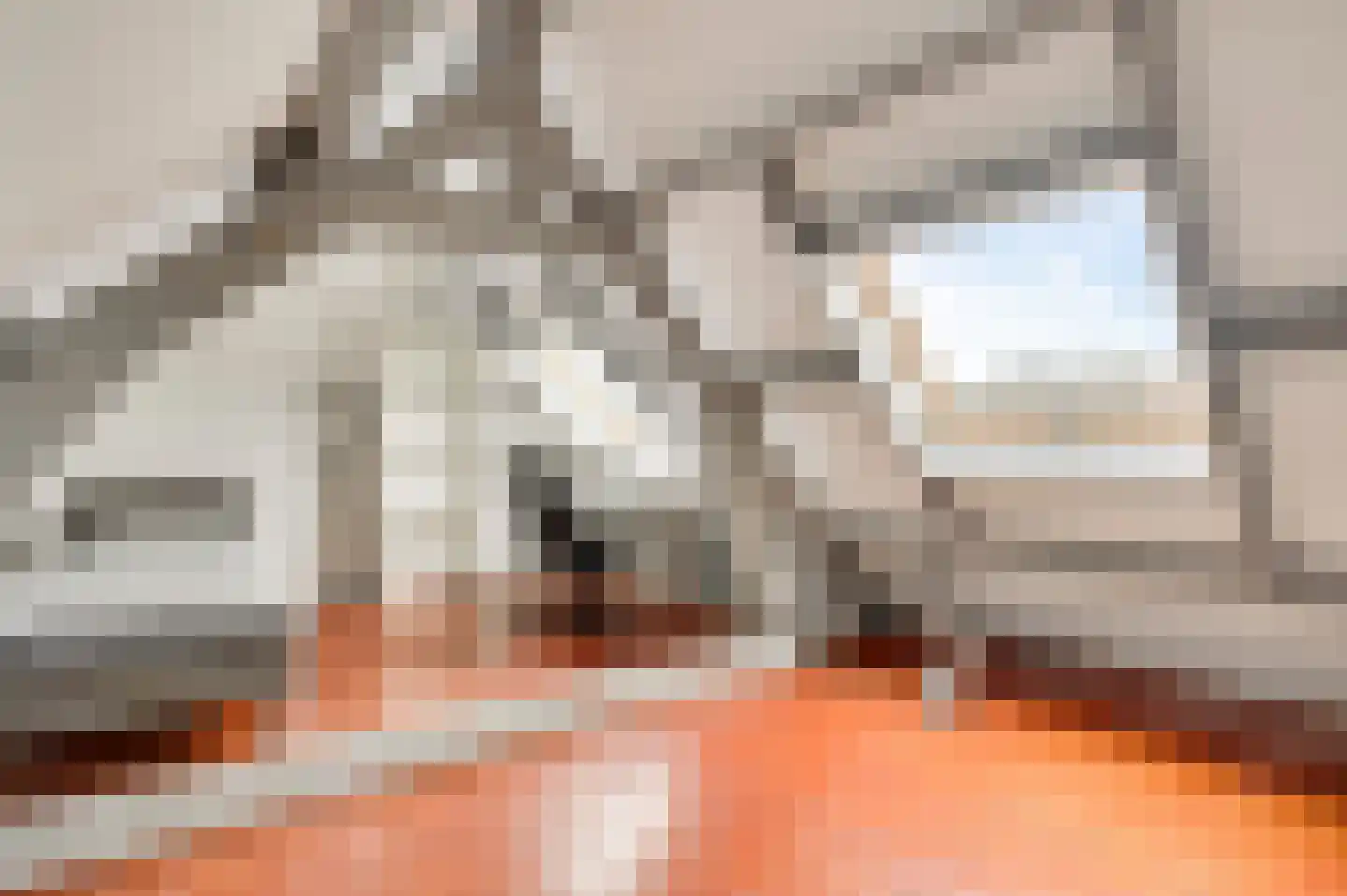 Fattenbergstraat 7 Beek thumbnail 39