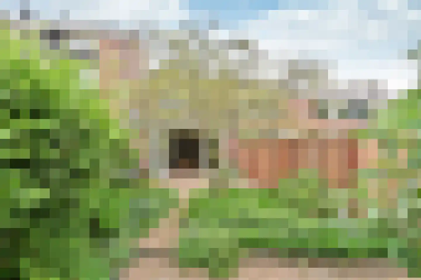 Fauna 31 Huizen thumbnail 10