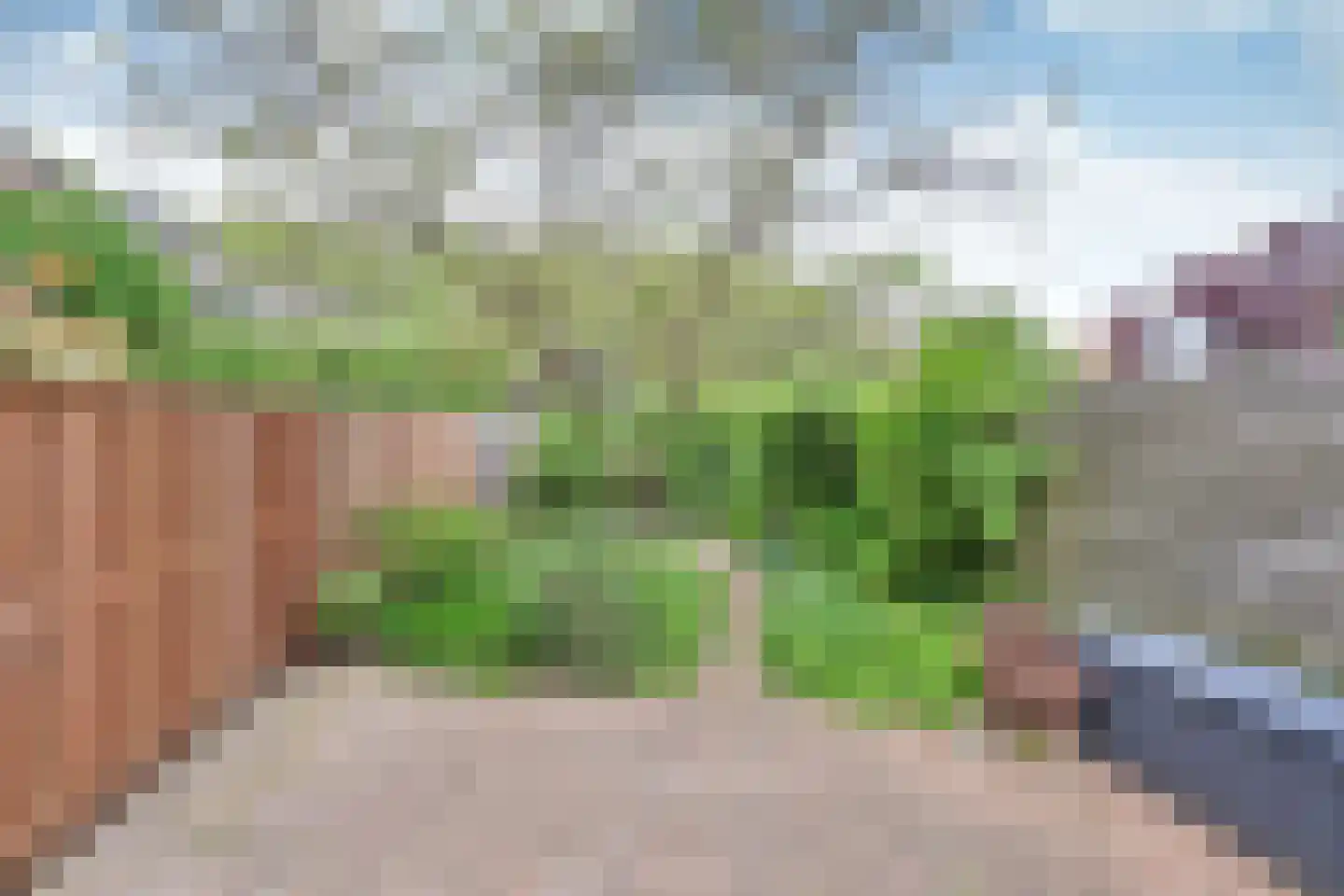 Fauna 31 Huizen thumbnail 11